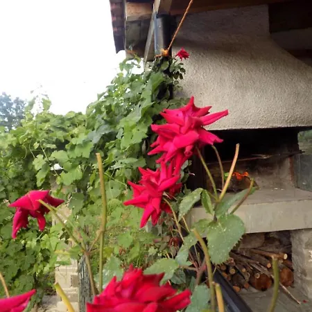 Lile Gjirokastër