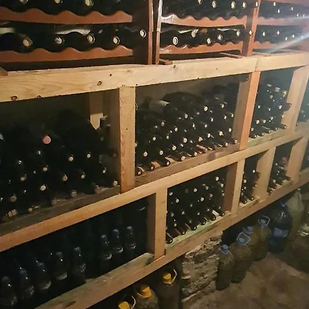 Lile Gjirokastër