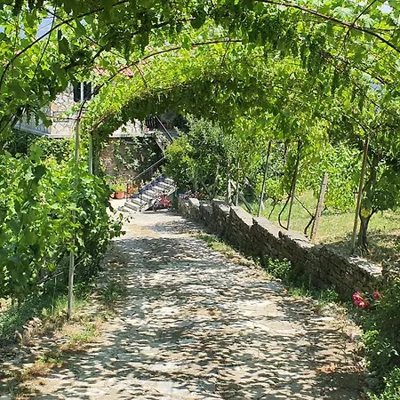 Penzion Lile Gjirokastër