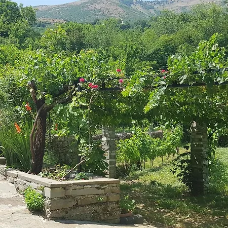 Lile Gjirokastër